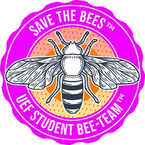 Save the Bees: UEF Student Bee-Team
